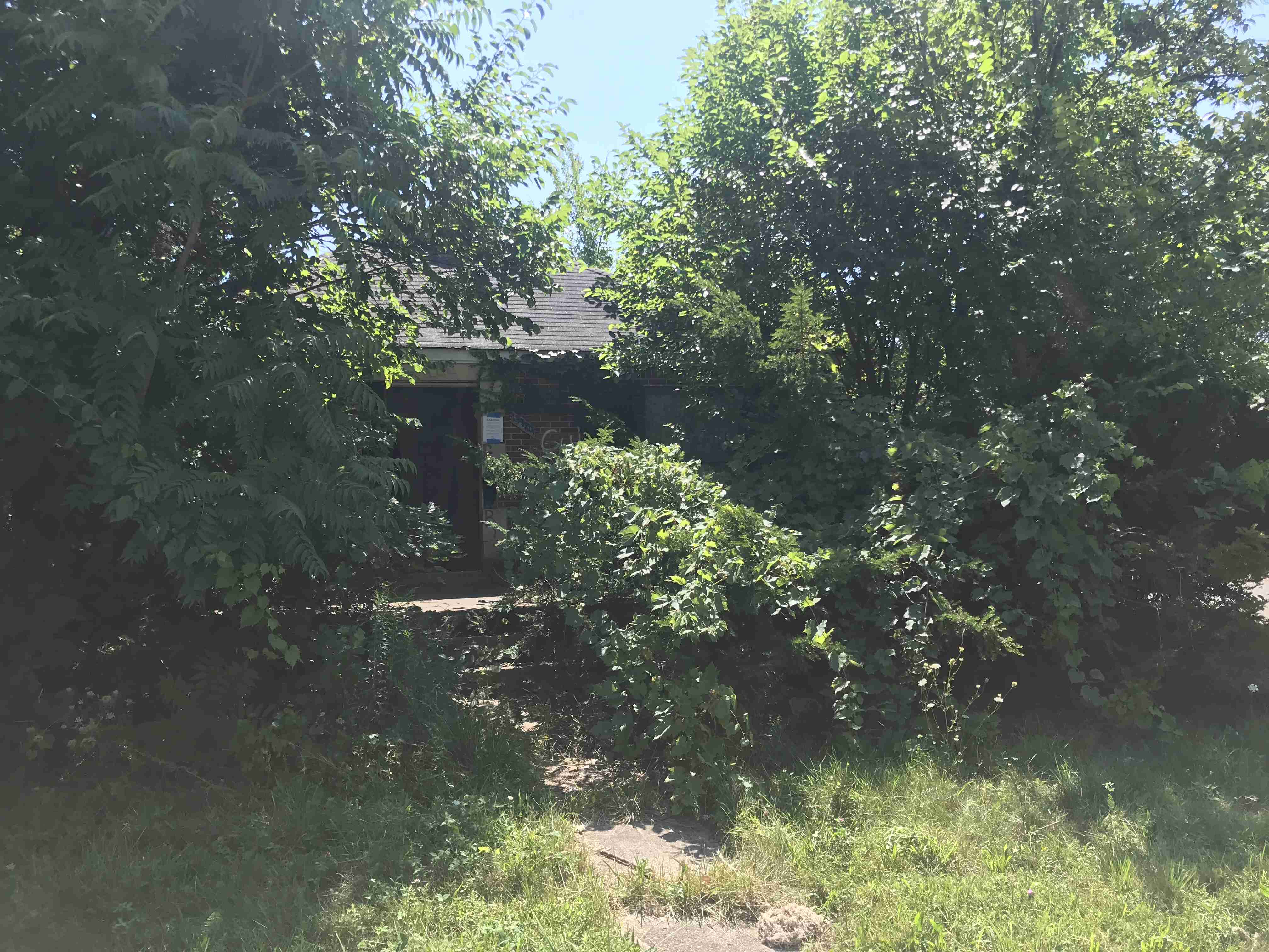 Photo Aug 21, 1 12 09 PM (1).jpg